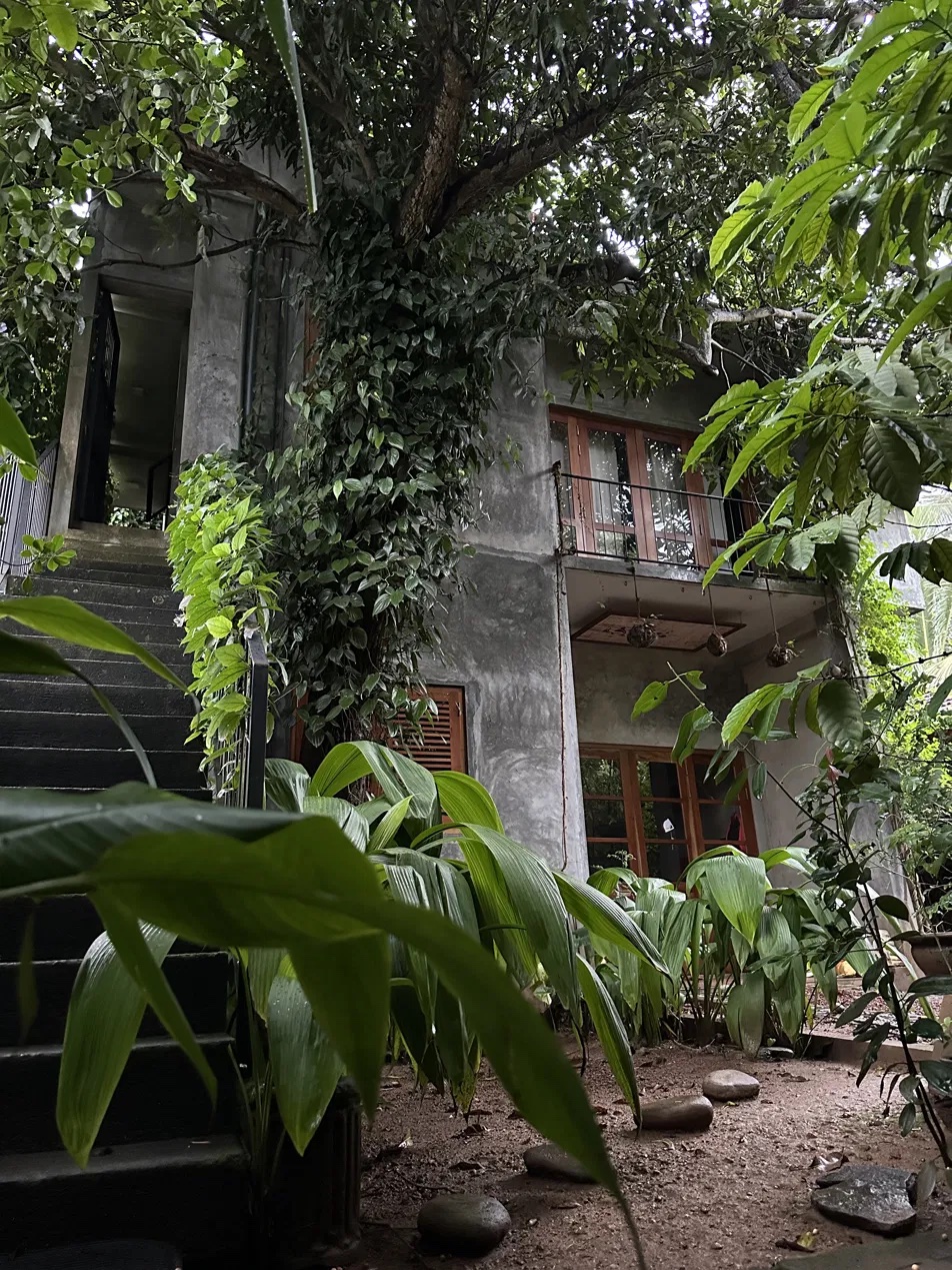 The Green Chambers today, surrounded by jungle